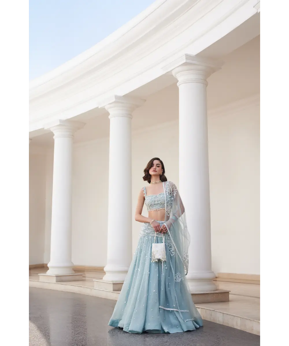 SANYA GULATI- Powder Blue Organza Skirt and Bustier